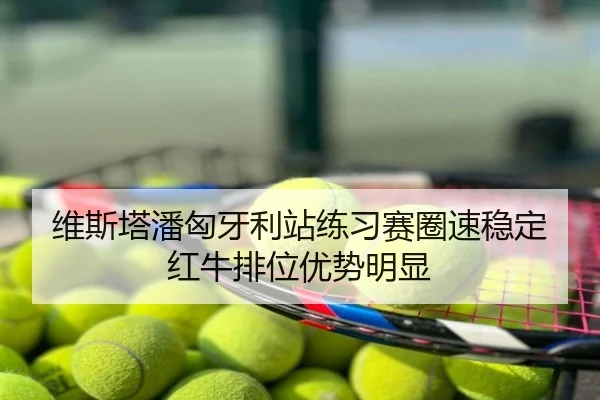 维斯塔潘匈牙利站练习赛圈速稳定红牛排位优势明显