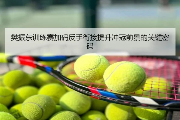 樊振东训练赛加码反手衔接提升冲冠前景的关键密码